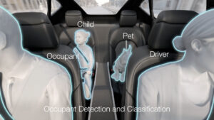 MAGNA OccupantDetectionandClassification_with Text