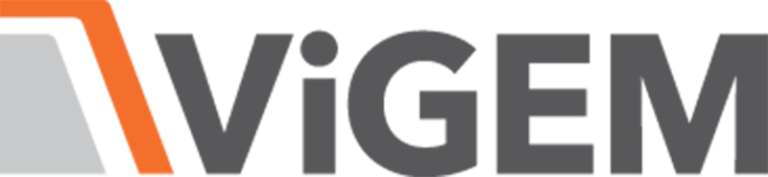 ViGEM