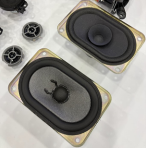 racetrack speaker AES